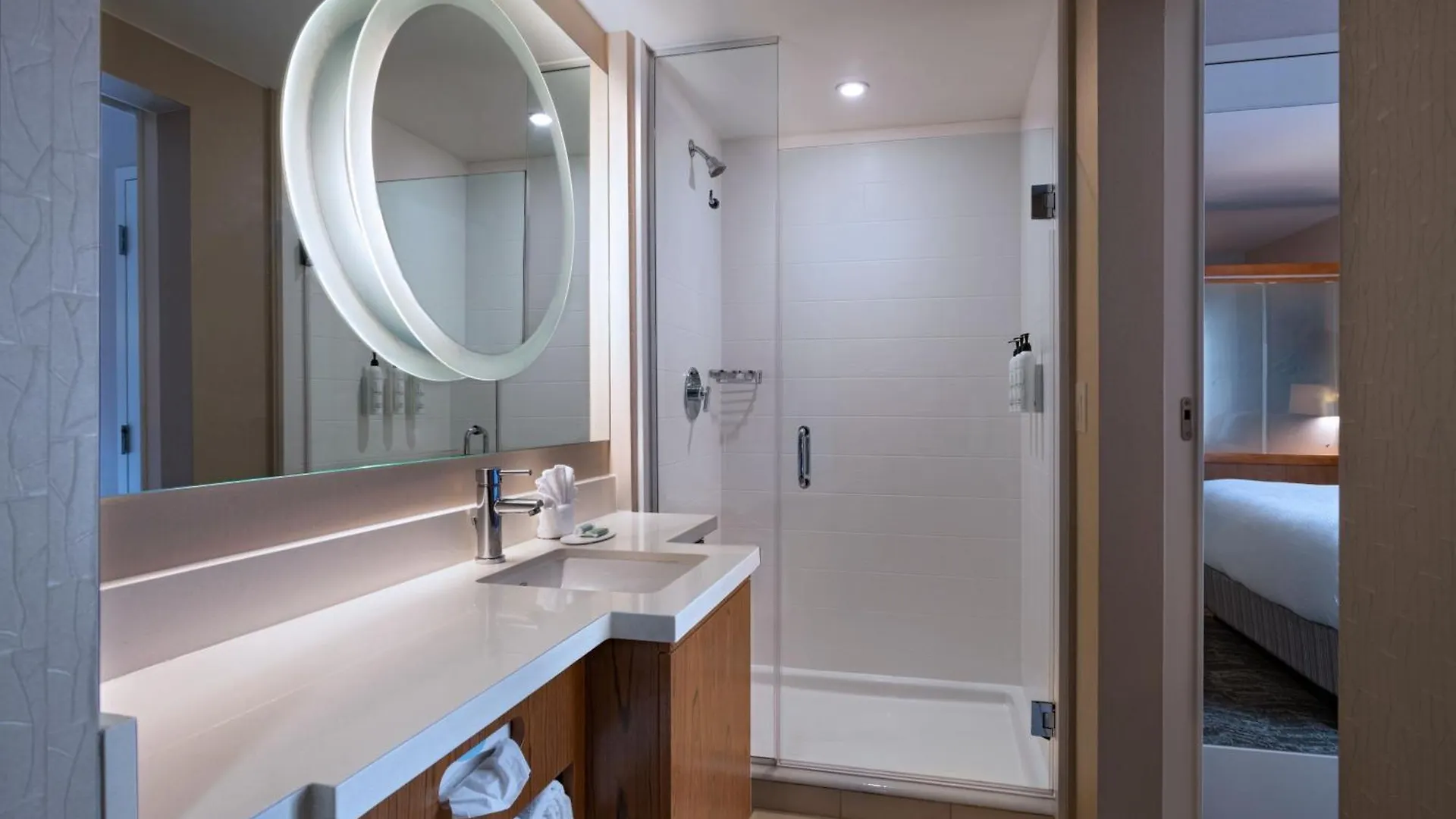 Hotel Springhill Suites By Marriott Anaheim Maingate
