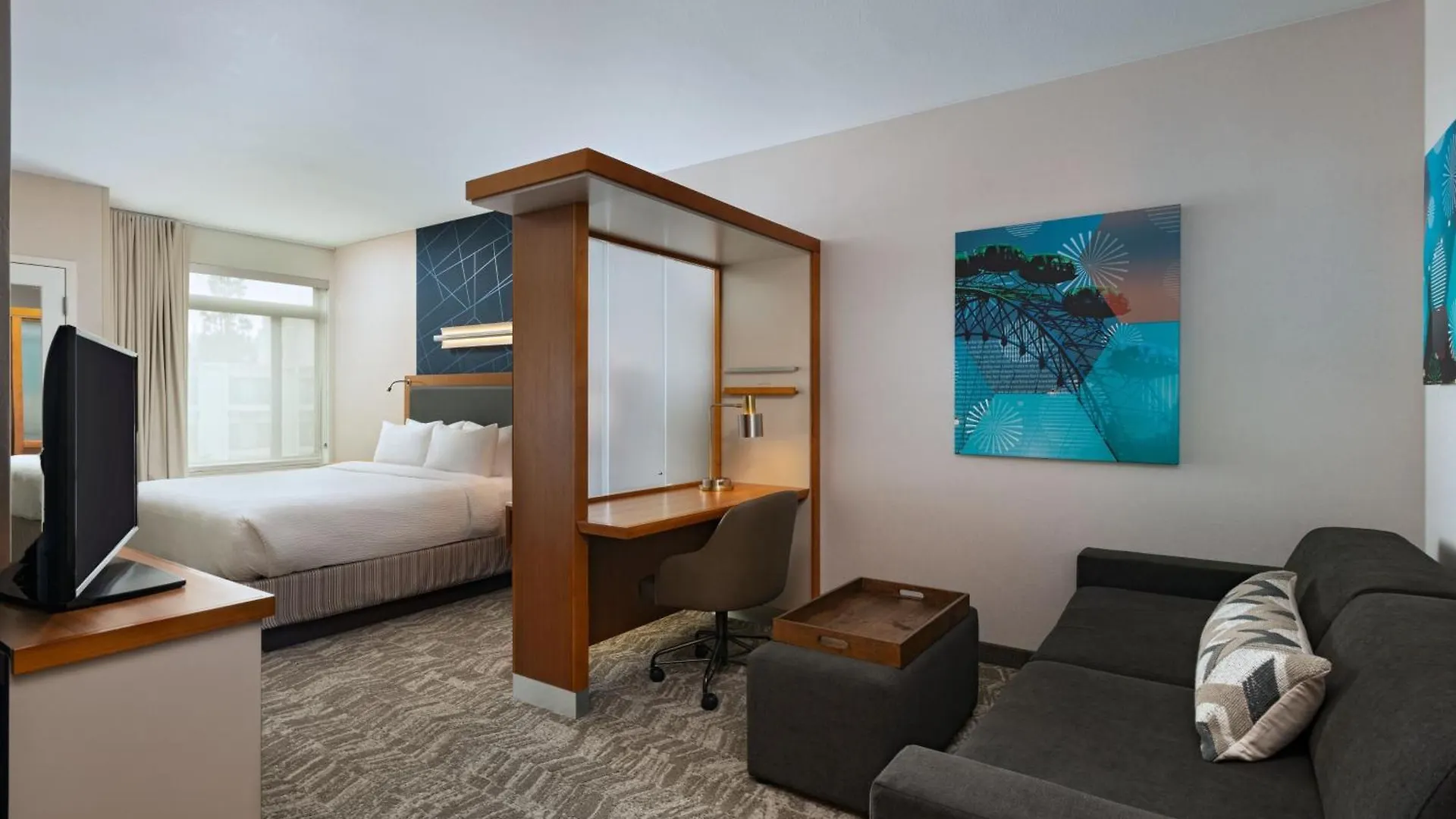 Hotel Springhill Suites By Marriott Anaheim Maingate